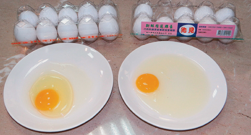 用LED灯控制鸡.....蛋黄特别香浓  科技新知