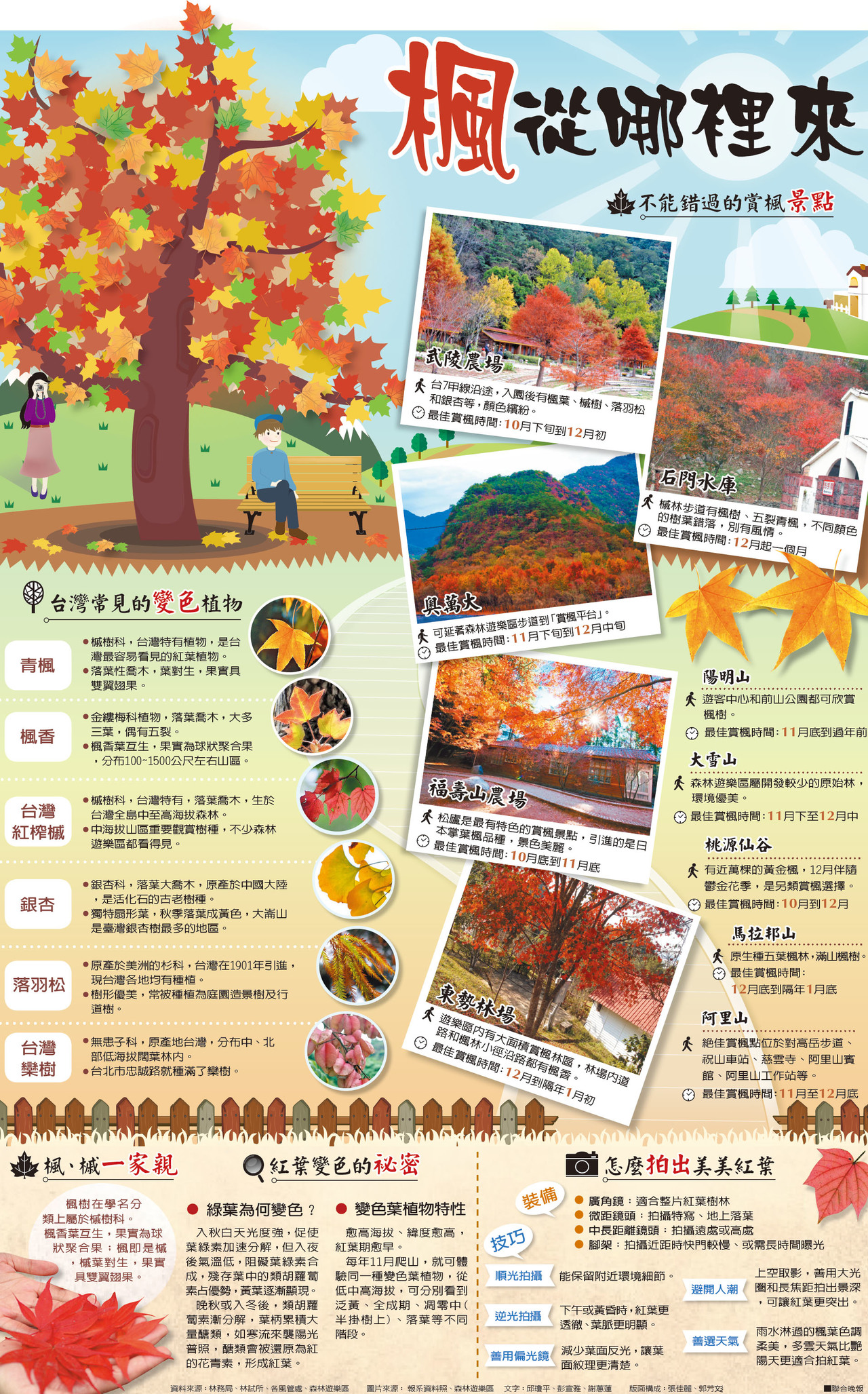 楓從哪裡來 圖解新聞 圖表看時事 時事話題 楓從哪裡來 圖解新聞 圖表看時事 時事話題