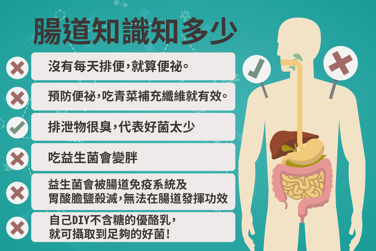 腸道知識知多少6個問題告訴你 消化系統 科別 元氣網