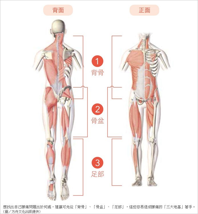 腰痛問題不在腰 看不見的腰痛 關鍵藏在這3處 骨科 復健 科別 元氣網