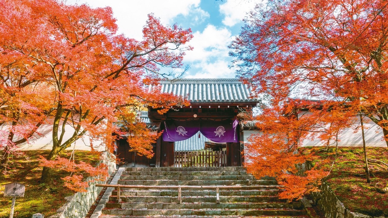 日本INSIDER路線特輯！到京都看楓紅絕景好療癒| 吃喝玩樂| 品味生活