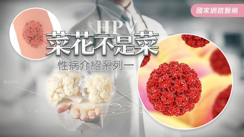 會痛嗎 會致癌嗎 認識性病 菜花 性病防治 性愛 元氣網