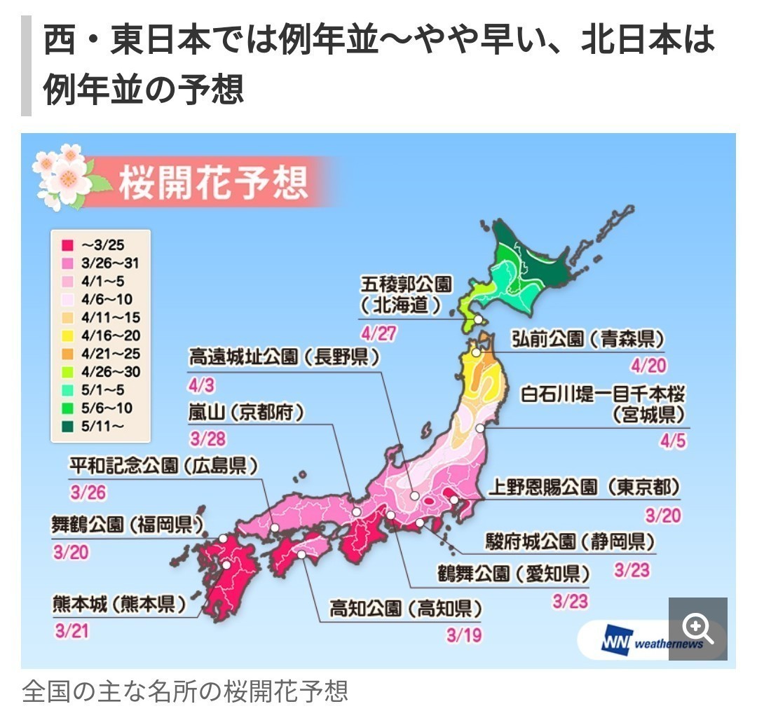 沖繩花開日本櫻花季或略早於往年平均 旅遊 聯合新聞網
