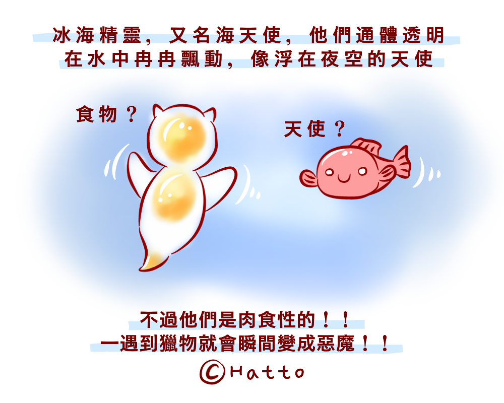 動物冷知識 一餓就變 臉 萌萌海天使見食物秒 頭裂開 變恐怖片 流行新鮮事 Oops 聯合新聞網