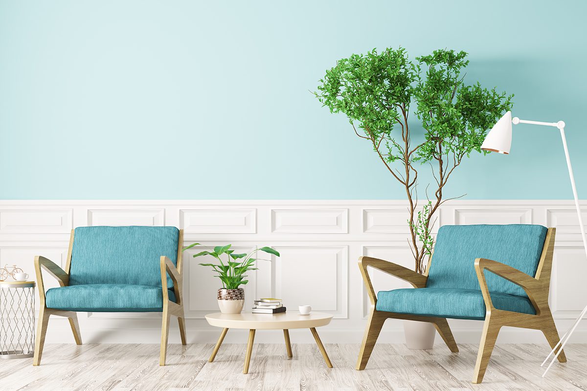 把室內盆栽當作天然的空氣清淨機 結果可能令你失望 健康知識 新聞 元氣網