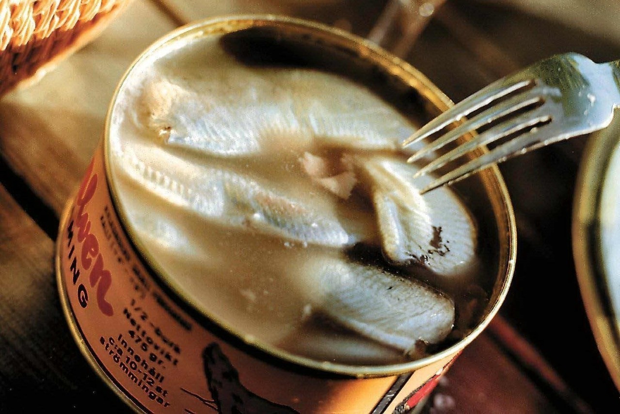 瑞典 魔性臭魚 鹽醃鯡魚罐頭的飲食文化 文化視角 轉角國際udn Global