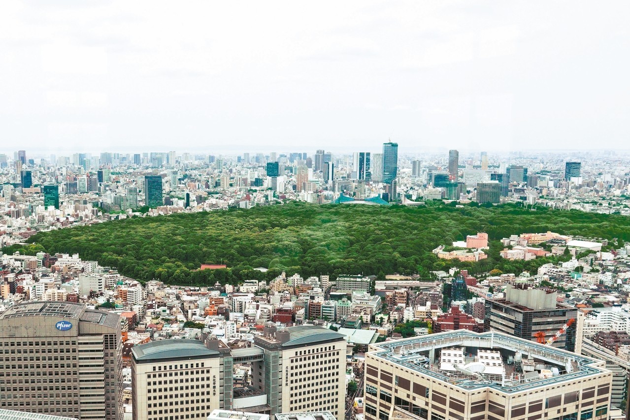 安藤忠雄揪50萬人 種樹引風 吹涼東京 外國退燒藥 都市在發燒 願景工程