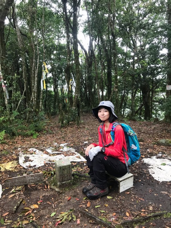 生態 魯壁山步道 1 2 需仁台灣誌