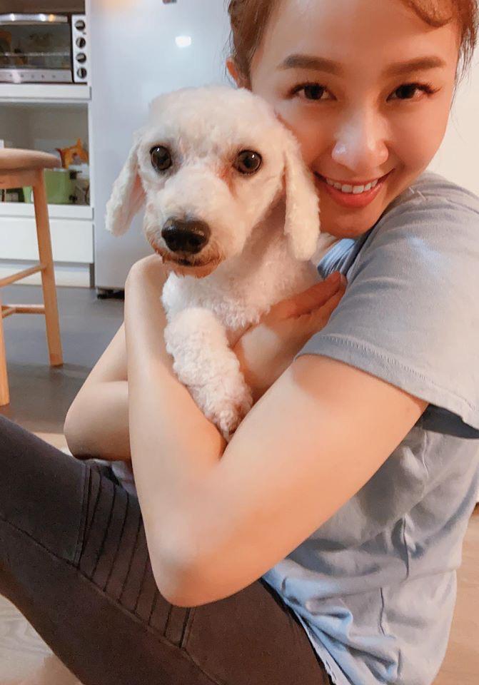 愛犬從繁殖場脫身美女主播心疼 牠只會繞圈圈 電視 噓 星聞
