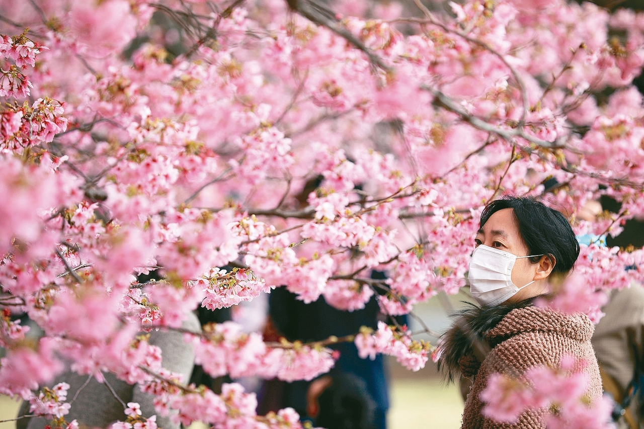 無論吃多少感冒藥都不會痊癒 你可能是 花粉症 風溼過敏免疫 科別 元氣網