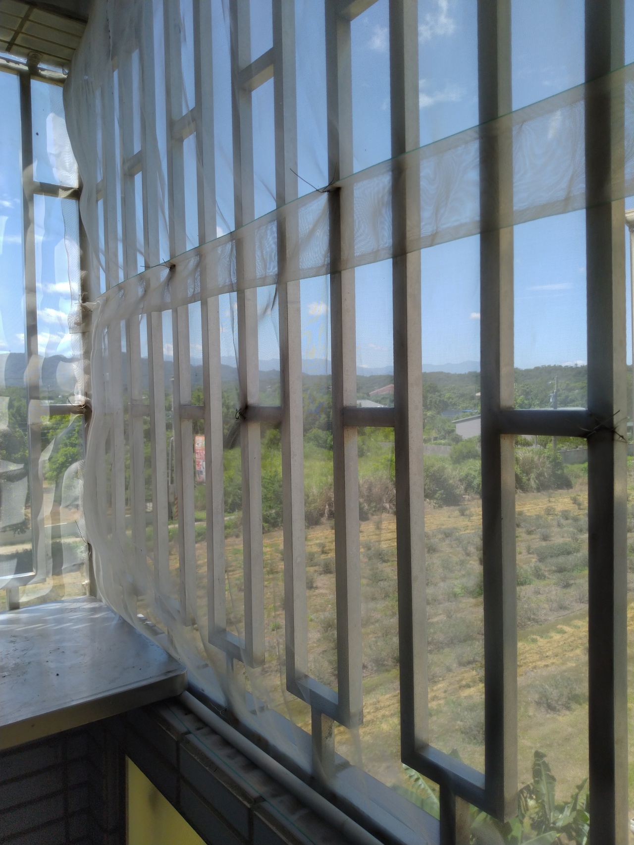 我的防蚊妙招 我家的物理滅蚊法 徵文集錦 新聞 元氣網