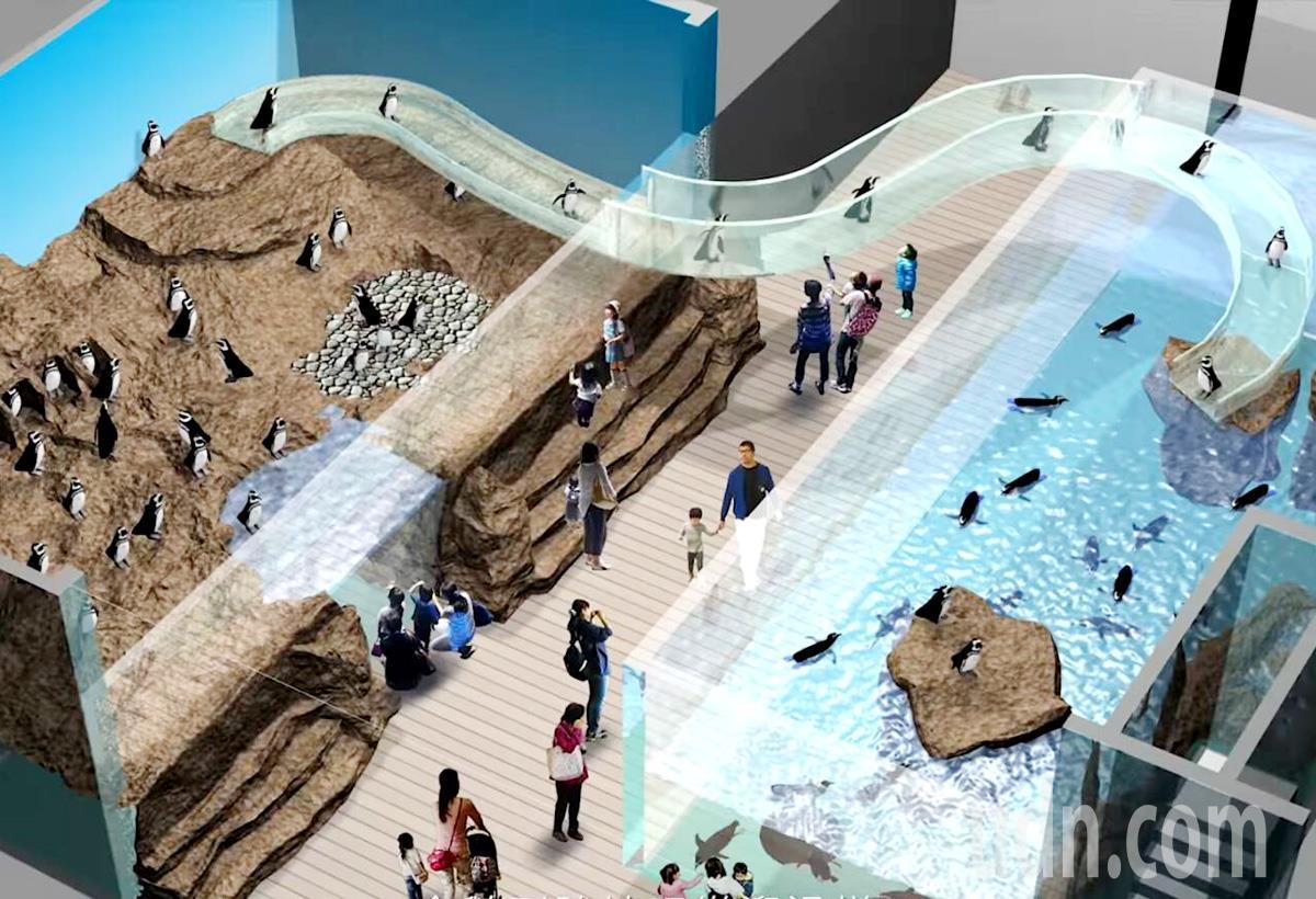 桃園xpark水族館開幕票價定了增企鵝館10展區以上 消費生活 產業 經濟日報