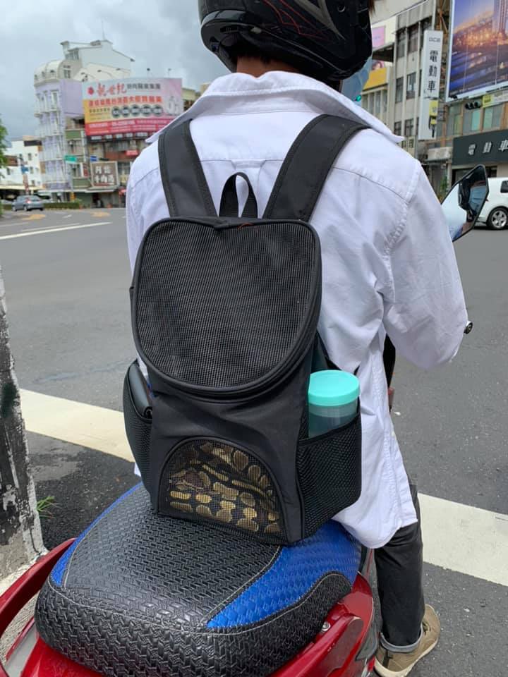 騎士遛蛇超吸睛網笑 背包保全沒人敢偷他東西 動物星球 生活 聯合新聞網 騎士遛蛇超吸睛網笑 背包保全沒人敢偷他東西 動物星球 生活 聯合新聞網