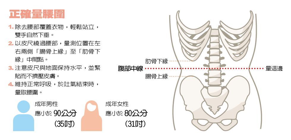 收小腹 保健康 褲腰超過35吋內臟脂肪如未爆彈 健康瘦身 養生 元氣網
