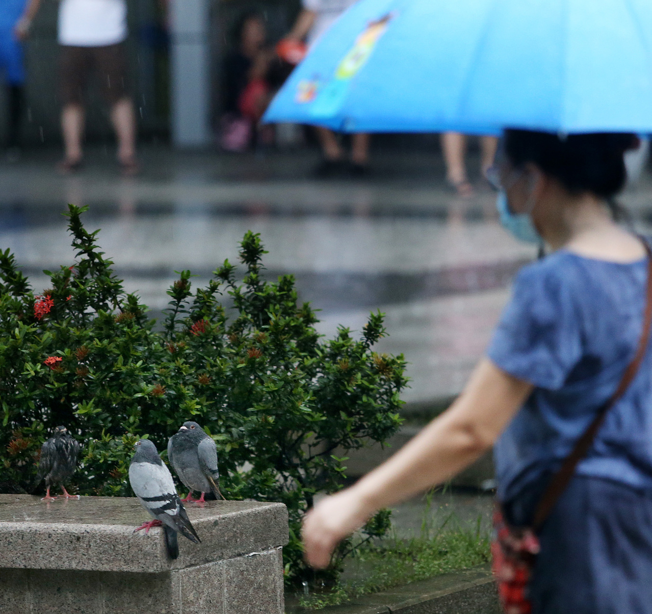 午後大雷雨機率高 吳德榮 連續這麼多天不常見 生活新聞 生活 聯合新聞網