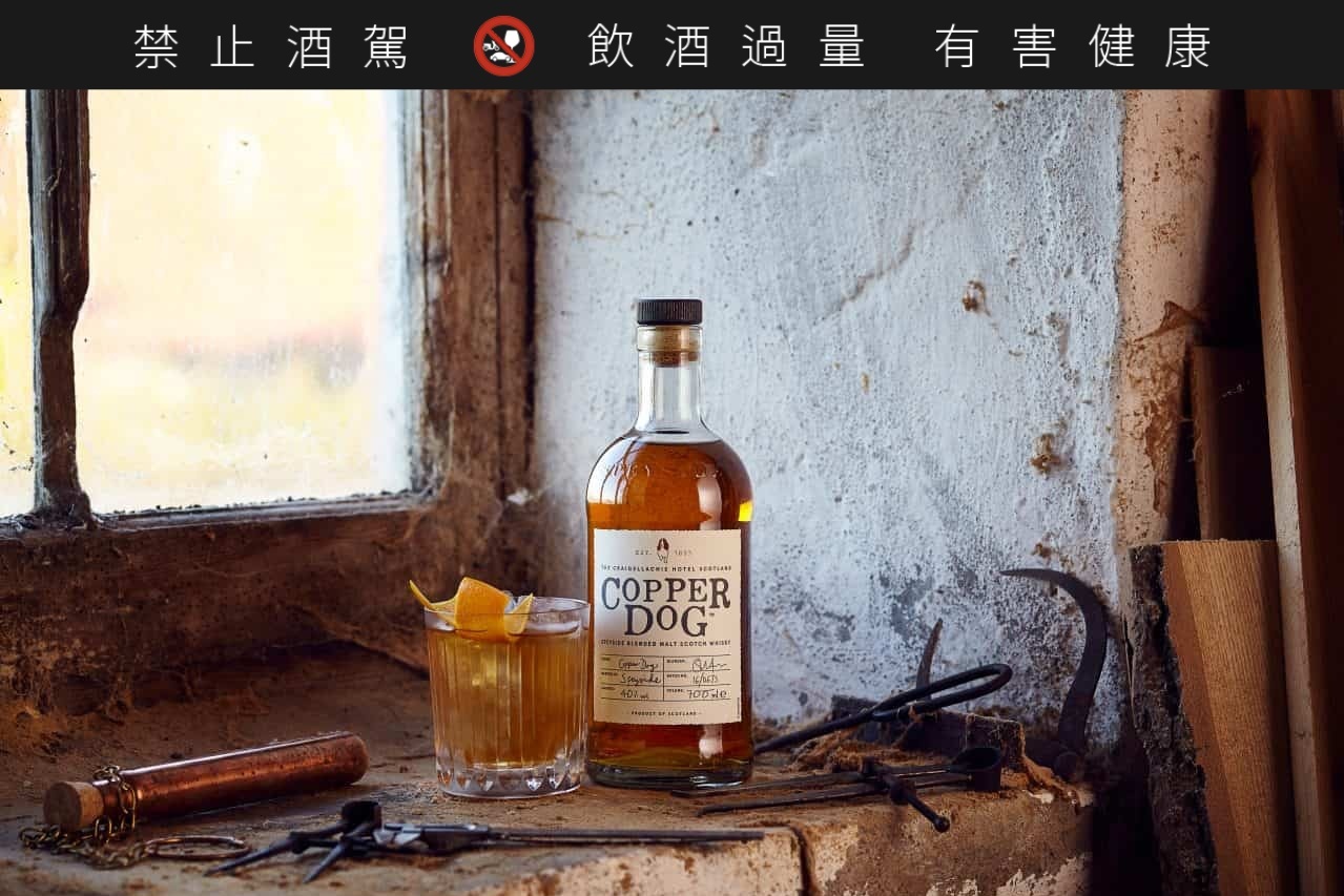 酷狗威士忌捐狗狗愛心餐全台送暖直到9月底 旅遊 聯合新聞網