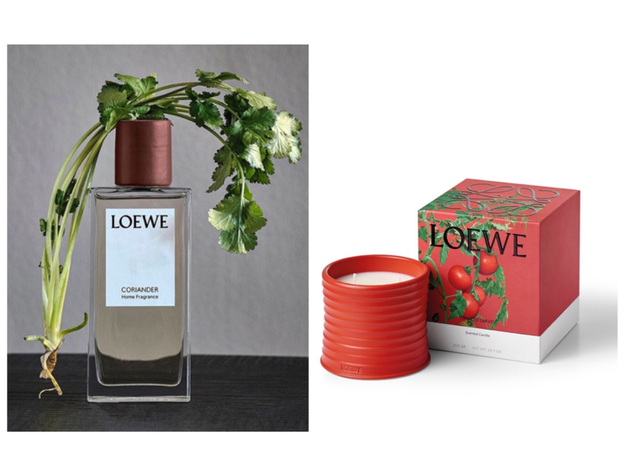 香菜控快來 Loewe香菜噴霧 蠟燭上市大麻味先掰掰 香氛美體 美妝保養 Udnstyle