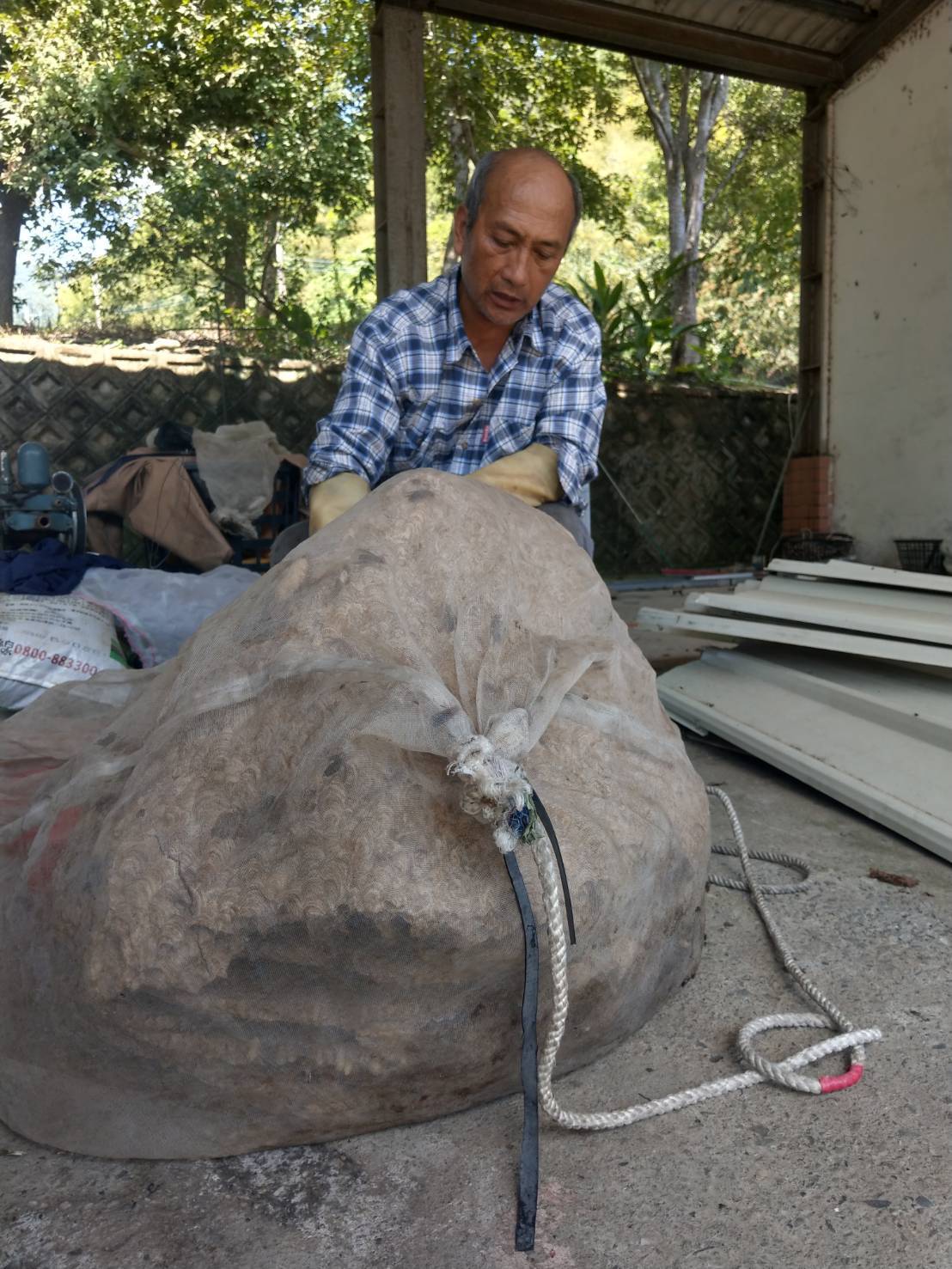 [報導] 60公斤超大虎頭蜂巢 布農族補蜂勇士：還會有更大的