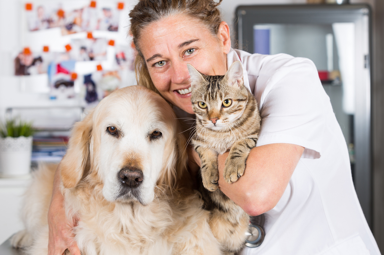 從養寵物透露飼主心理需求 連你害怕跟別人太親近都能看出 心靈花園 生活 聯合新聞網