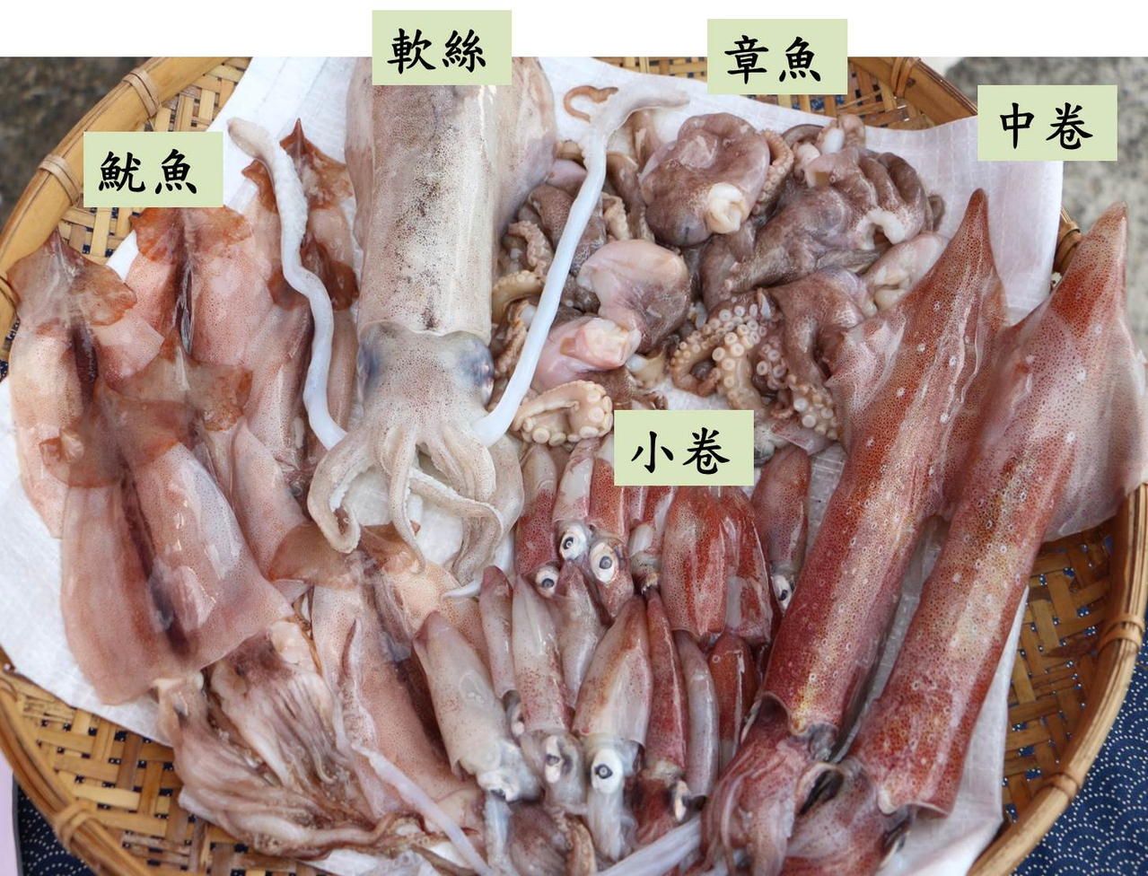 中秋烤肉不能只知道吃 魷魚 透抽 軟絲 章魚還傻傻分不清嗎 旅遊 聯合新聞網