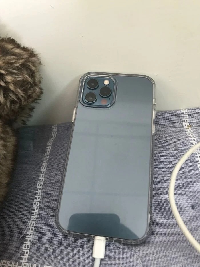 Iphone 12 Pro才買一天竟開不了機網勸 千萬別搶第一批 Iphone 12開賣 數位 聯合新聞網