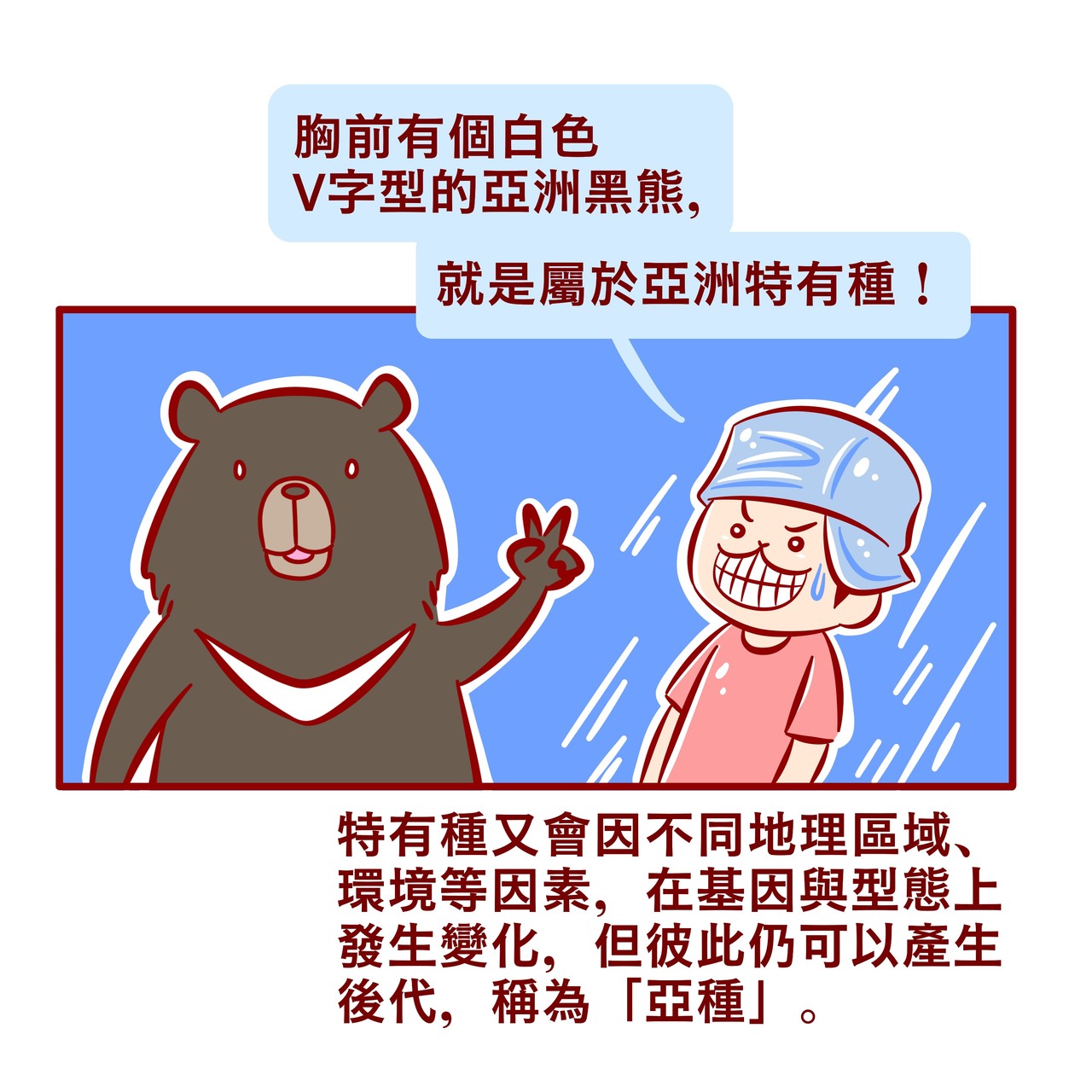 動物冷知識 台灣黑熊 石虎是台灣獨有 特有種和亞種到底怎麼分 動物星球 生活 聯合新聞網