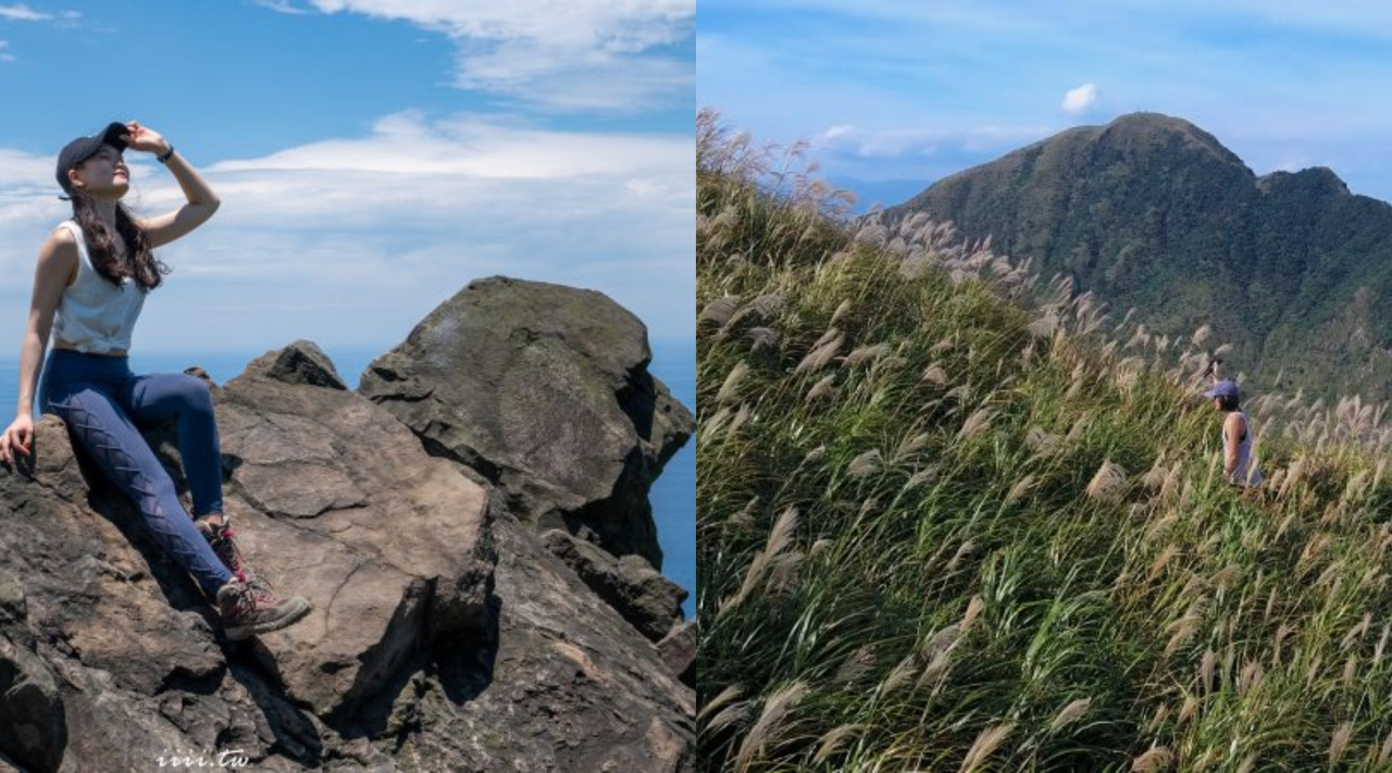 單趟15分鐘就抵達 東北角芒草秘境 哈巴狗岩 美照輕鬆拍 旅遊 聯合新聞網