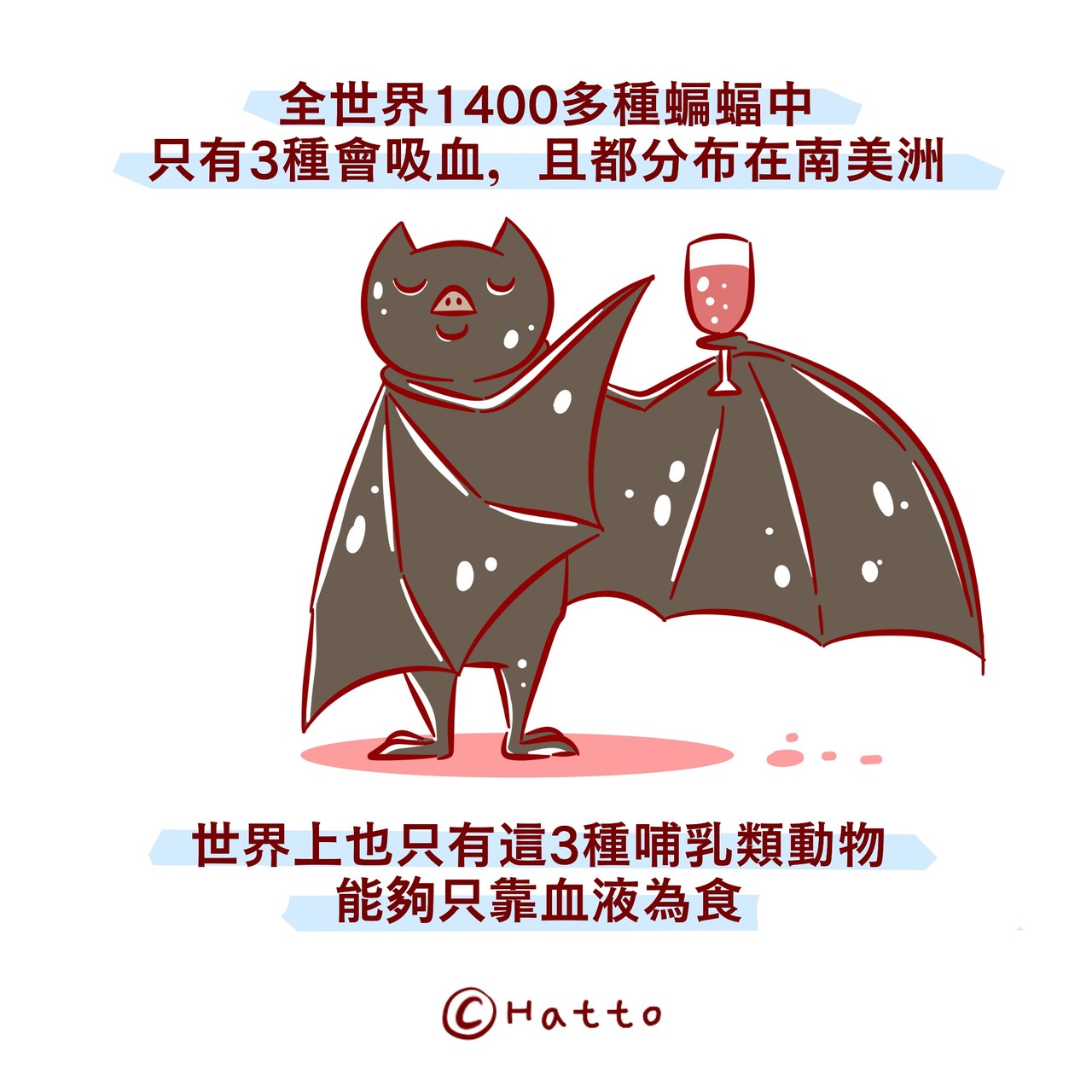 動物冷知識 潛水者防不勝防 令男性雙腿夾緊的半透明吸血惡魔 動物星球 生活 聯合新聞網