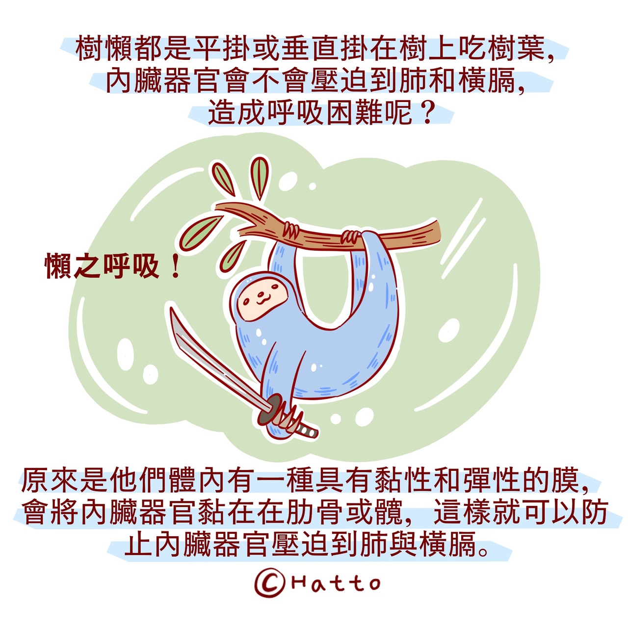 動物冷知識 靠表皮 靠屁屁 動物界 呼吸法 揭秘 動物星球 生活 聯合新聞網