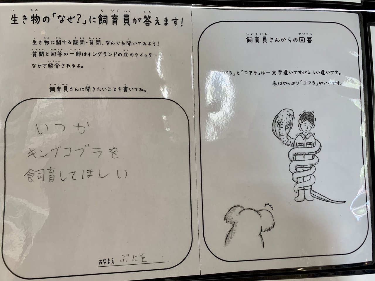 日本超狂動物飼育員 神回覆小朋友問題網讚 被耽誤的畫家 奇聞不要看 全球 聯合新聞網