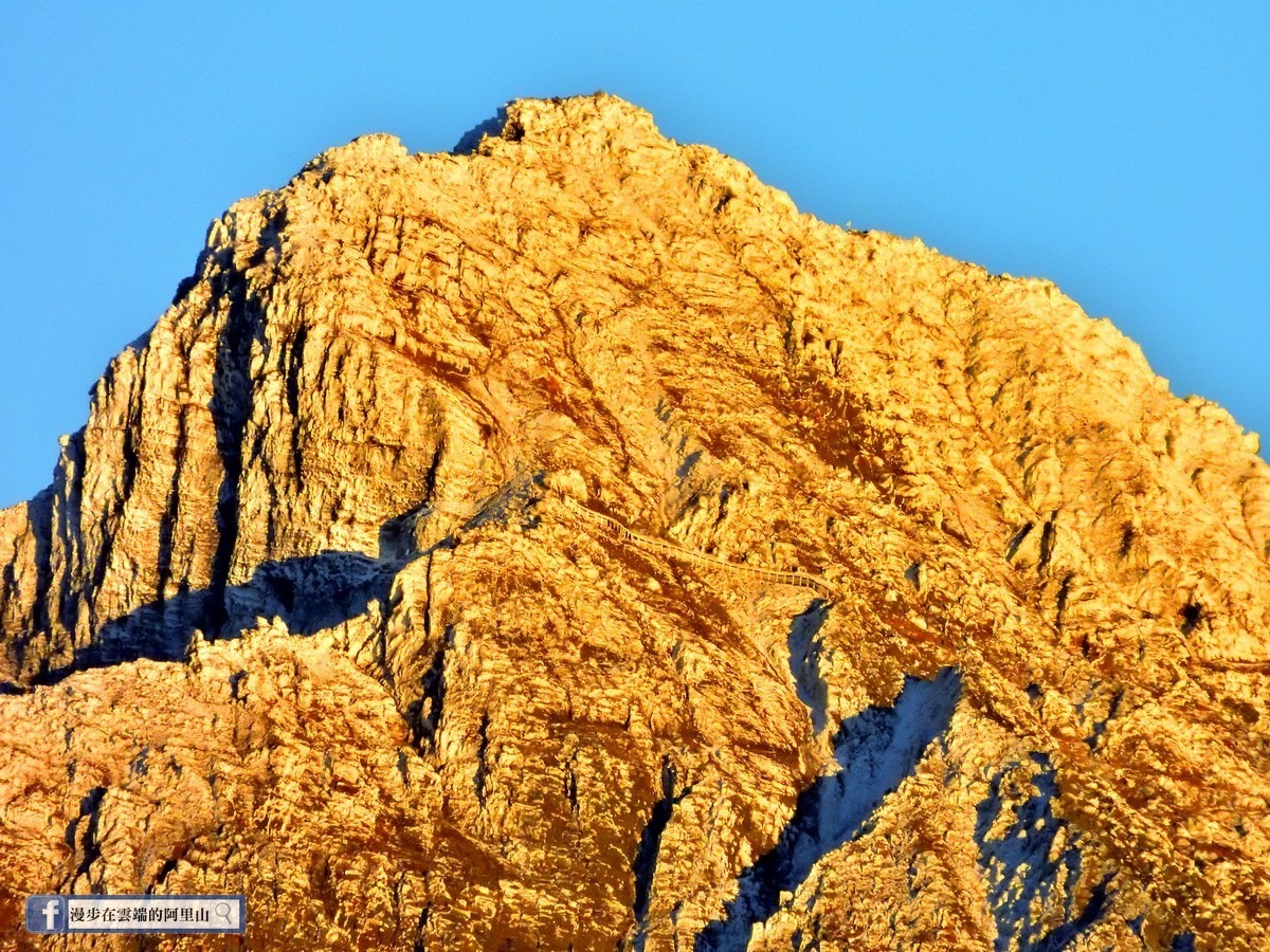 阿里山上直擊玉山雪景網友驚豔 像裹了金粉 寒流襲台急凍 生活 聯合新聞網