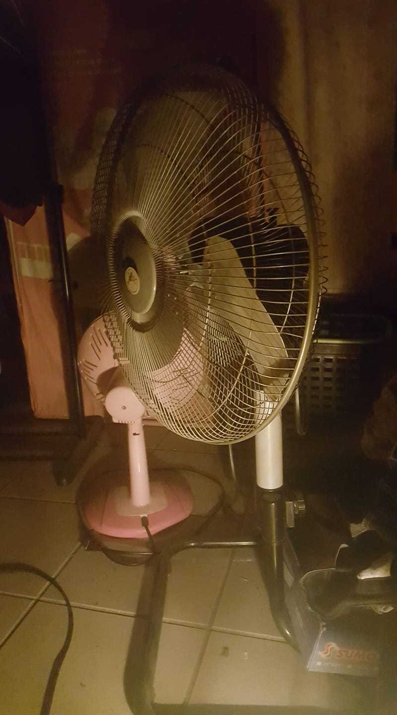 天氣冷也要開電扇 他曝原因釣出一堆同好 一年四季都開 網搜奇趣蛋 Oops 聯合新聞網