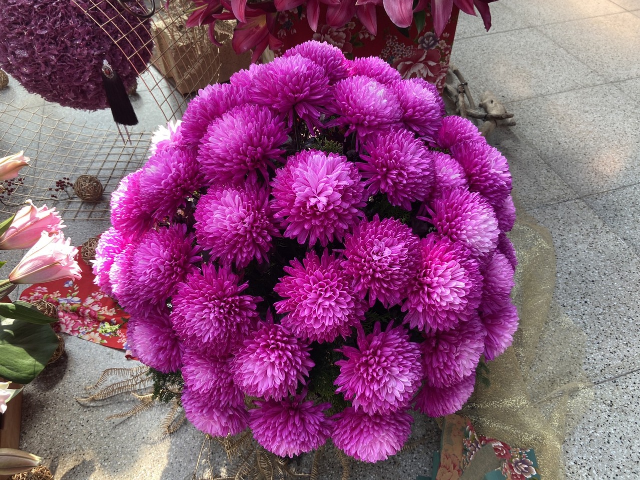 春節迎春花 招財納福 官運亨通方位一次看清 生活新聞 生活 聯合新聞網