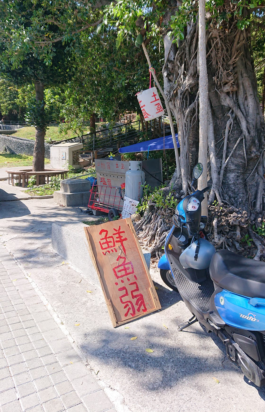 阿伯擺攤賣 鮮魚弱 沒人理遊客曝真相 可以讓他紅嗎 網搜奇趣蛋 Oops 聯合新聞網