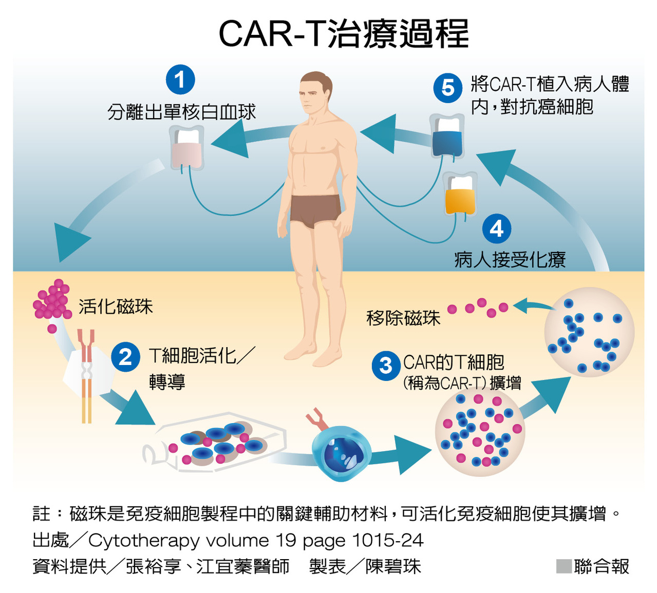 科普好健康 Car T細胞治療自己生出抗癌解藥 生活新聞 生活 聯合新聞網