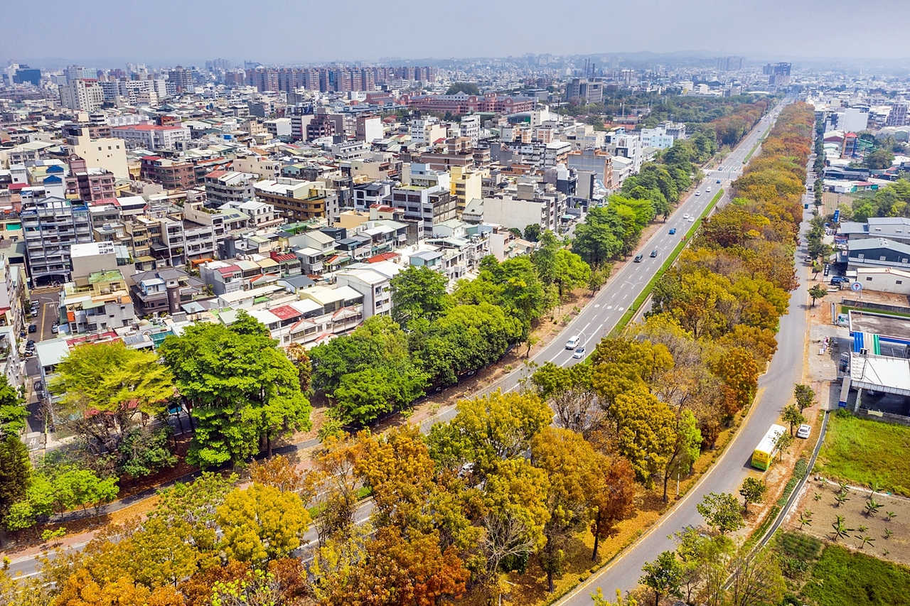 春天版落葉大道！嘉義世賢路舖出紅褐色地毯| 旅遊| 聯合新聞網