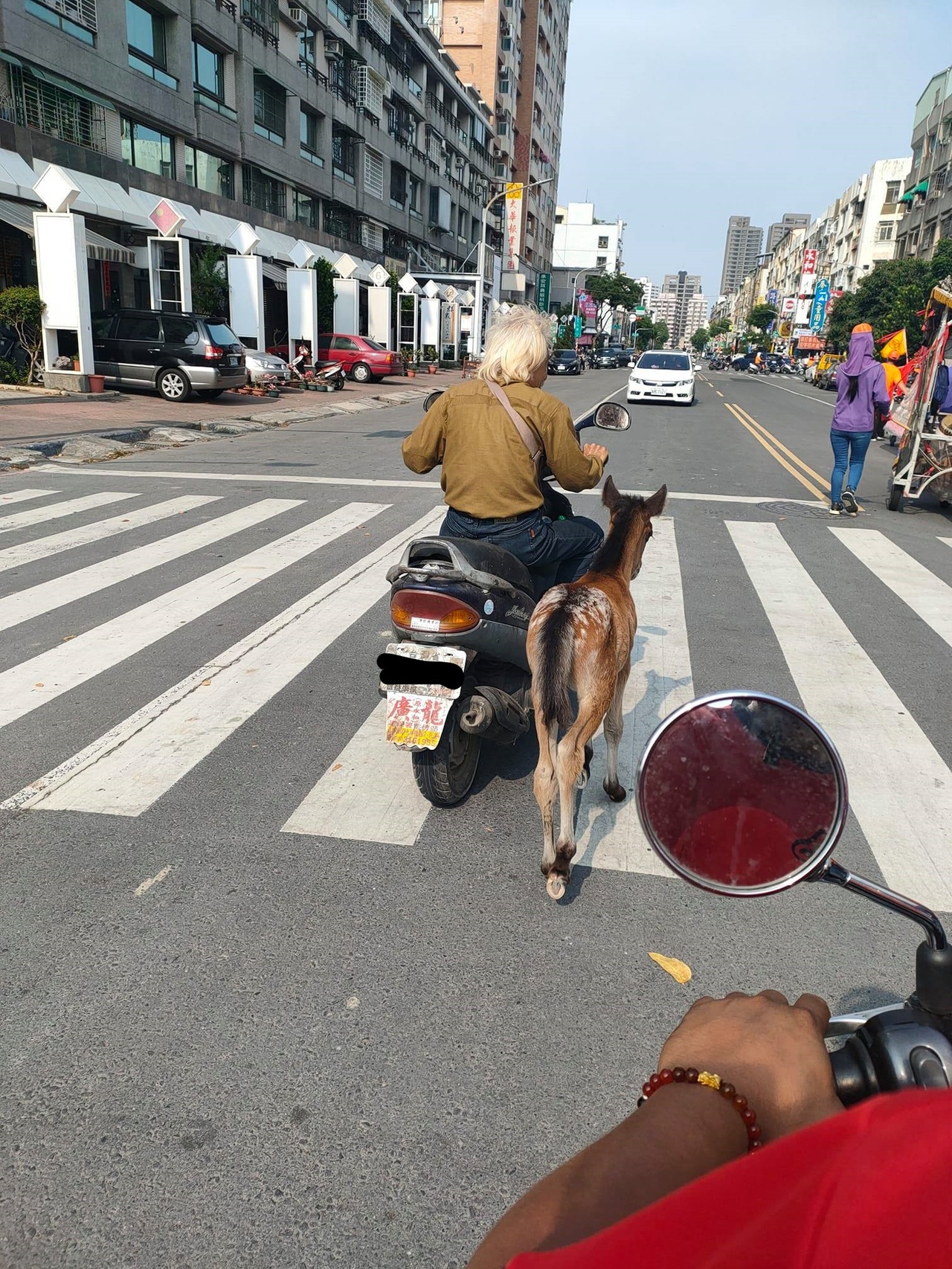 男子騎車大馬路 遛馬 未繫繩加未帶安全帽吃2紅單 社會萬象 社會 聯合新聞網