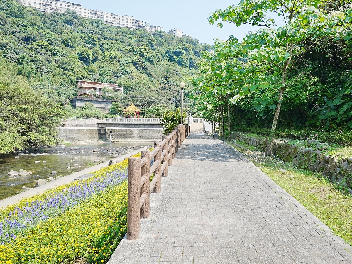 萬里灣潭橋邊百花開桐雪隨風飄美不勝收 大台北 地方 聯合新聞網