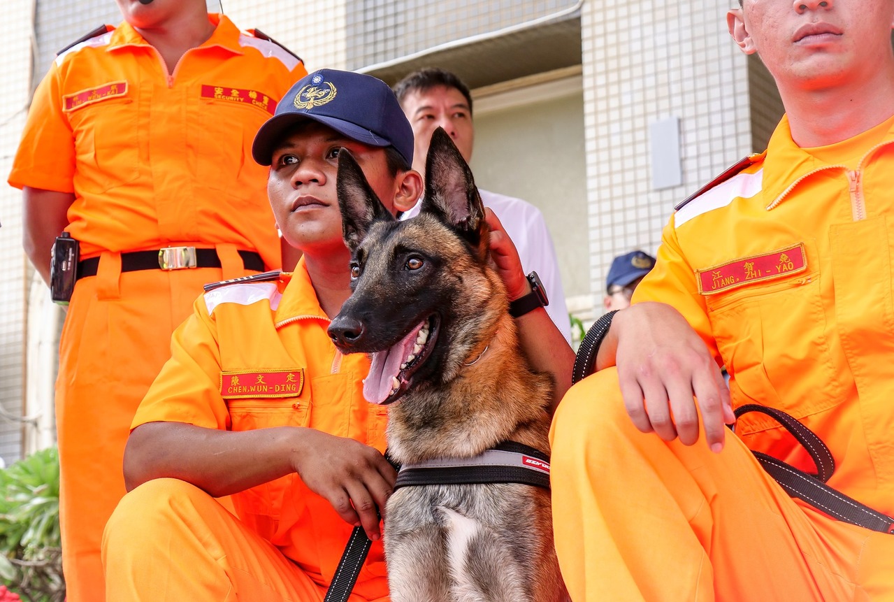 軍犬解密 曾有官拜少校若走失或被殺 懲處主官 軍武 聯合報