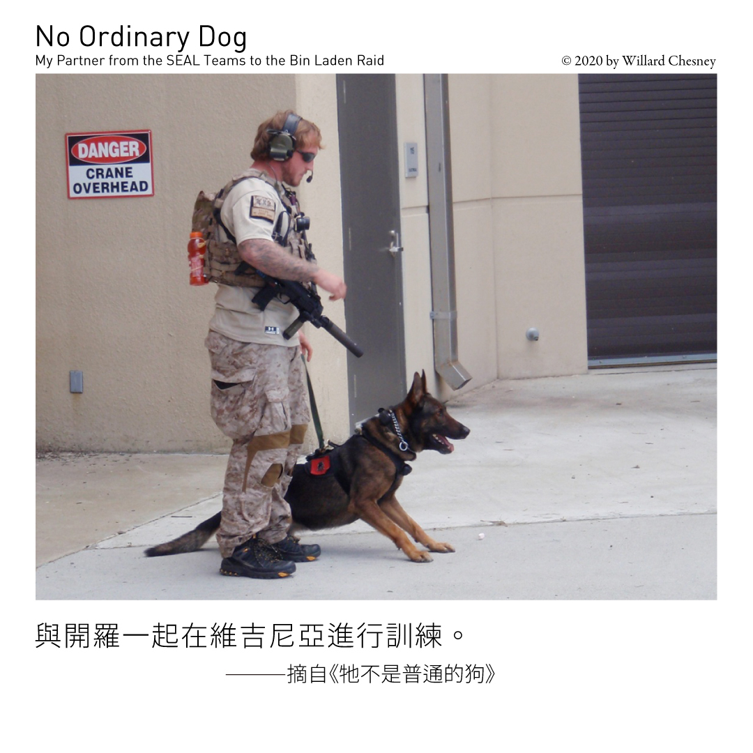 狙殺賓拉登 拯救我的人生 牠不是普通的狗 軍犬開羅輝煌功績與生命故事 書市圈 琅琅悅讀