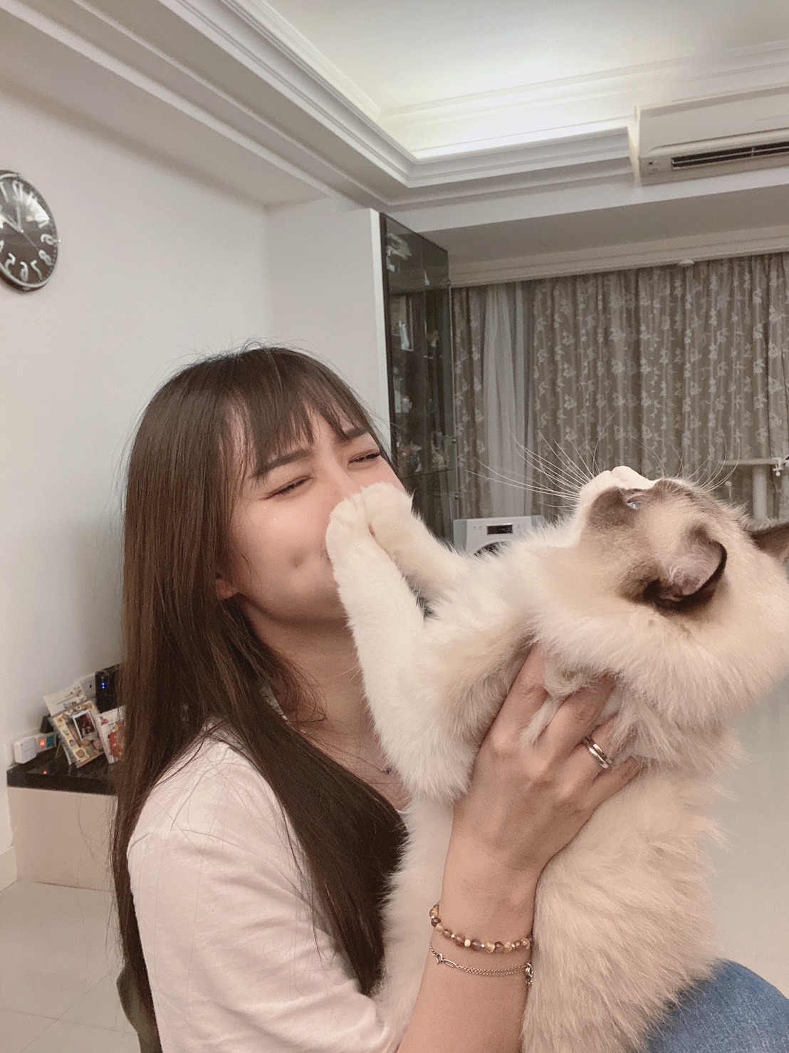 寵物知識+／為什麼人喜歡「吸貓」？讓貓貓給你吸的訣竅大公開 動物 