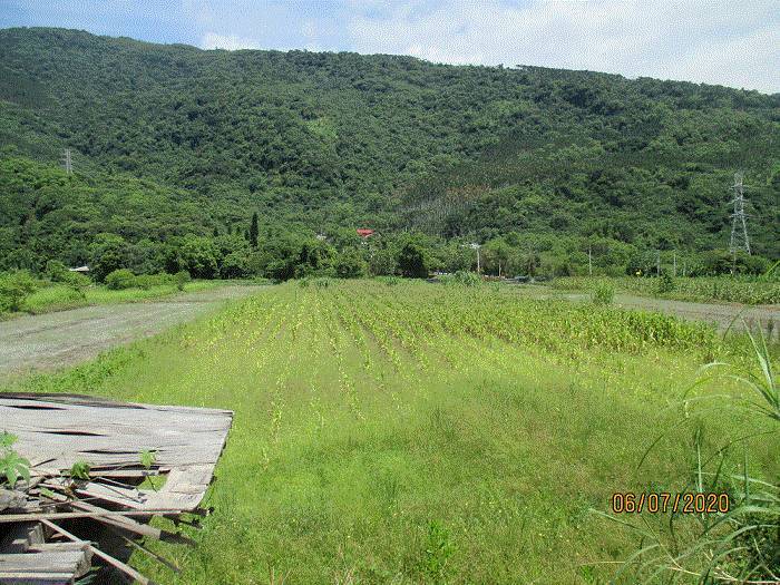 花蓮壽豐1500坪土地法拍底價600萬元 基宜花東 地方 聯合新聞網