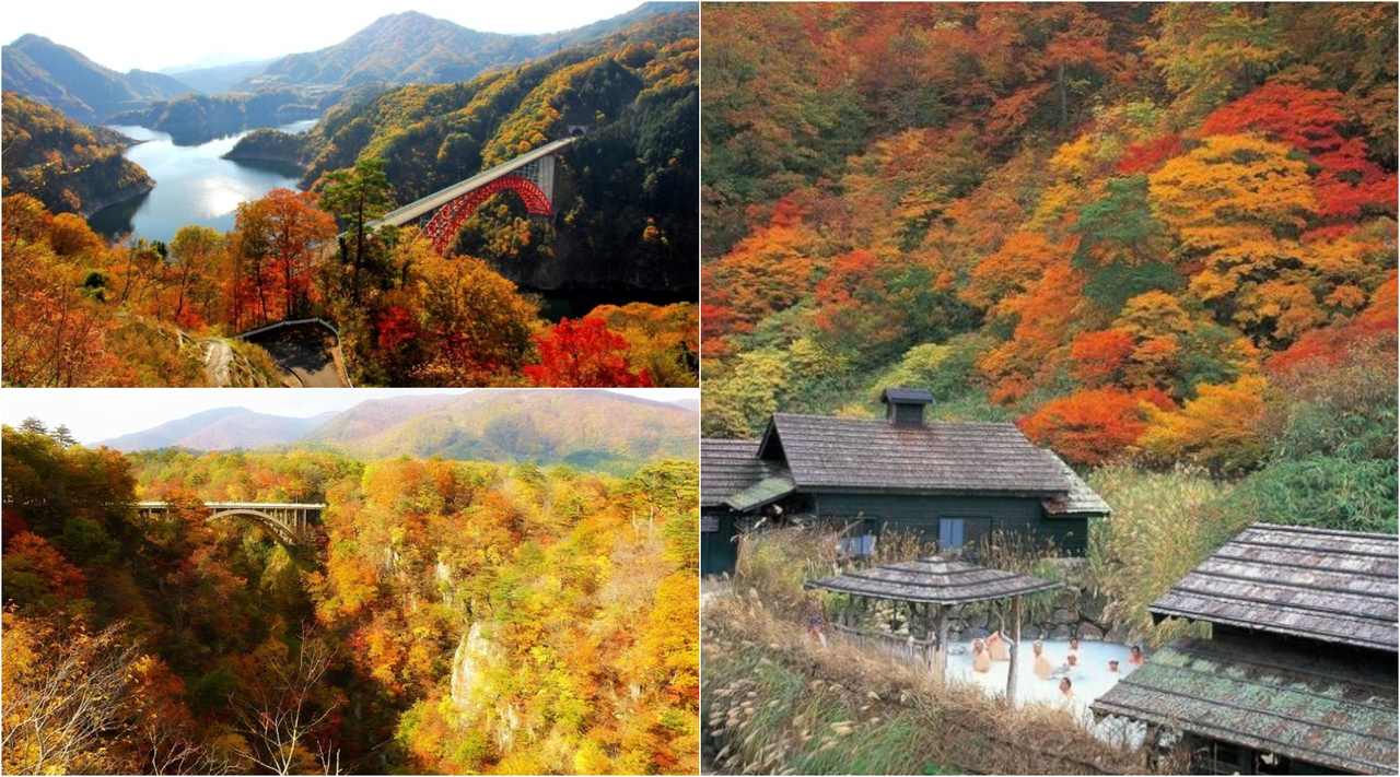 泡湯賞楓 最美紅葉鐵道路線 網友最愛的 日本10大紅葉景點 排名大公開 旅遊 聯合新聞網