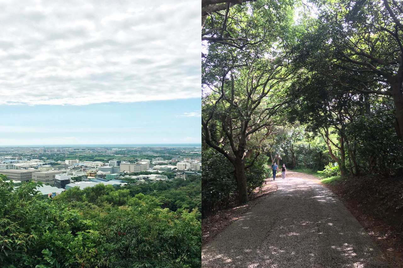 桃園平易近人步道 五酒桶山 沿途都是綠蔭 南崁山 能賞海岸線 旅遊 聯合新聞網