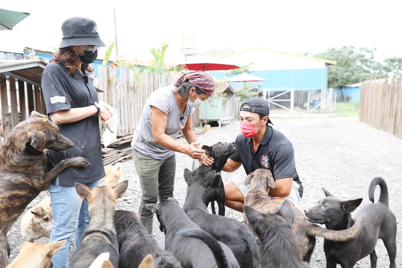 夢多親運飼料捐所得助流浪犬 電視 噓 星聞