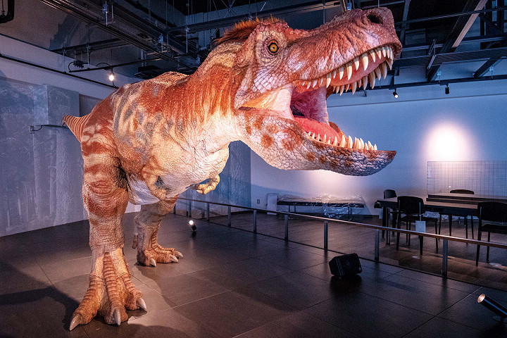 恐龍化石的寶庫 長崎市全新 恐龍博物館 開幕 周邊順遊超充實 旅遊 聯合新聞網