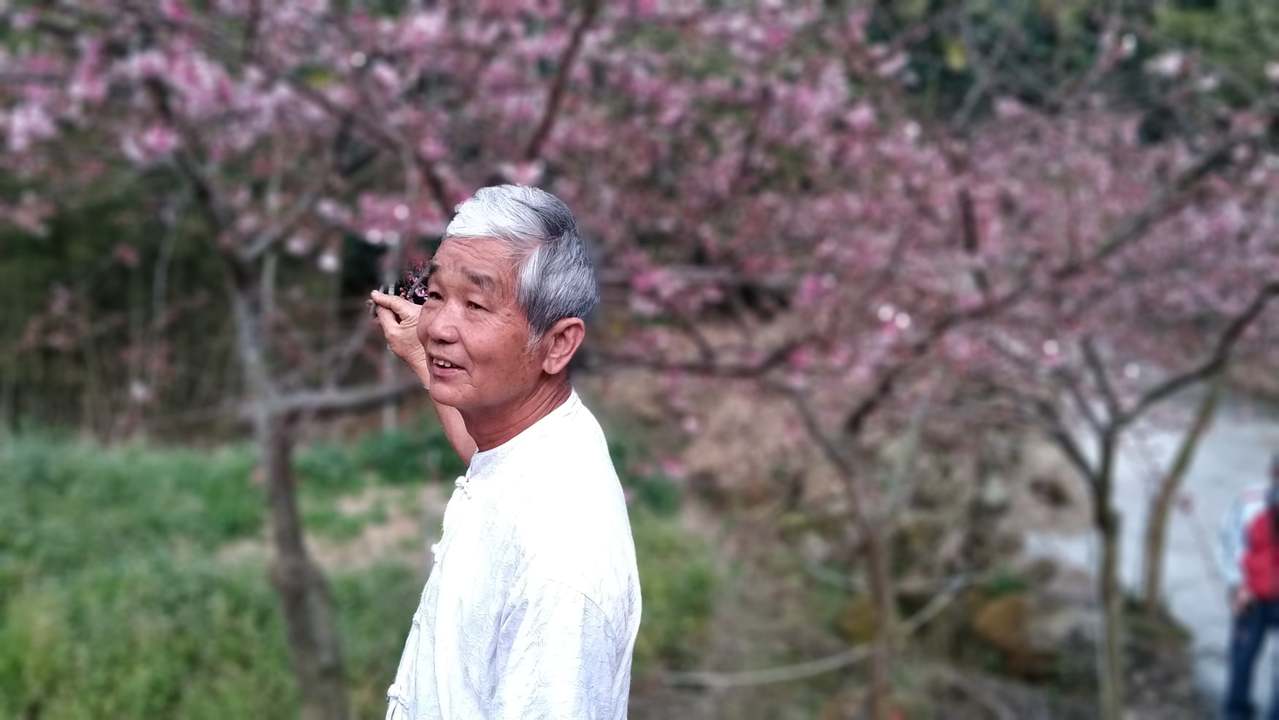 青山坪咖啡豆獲美評鑑世界第一 雲嘉南 地方 聯合新聞網