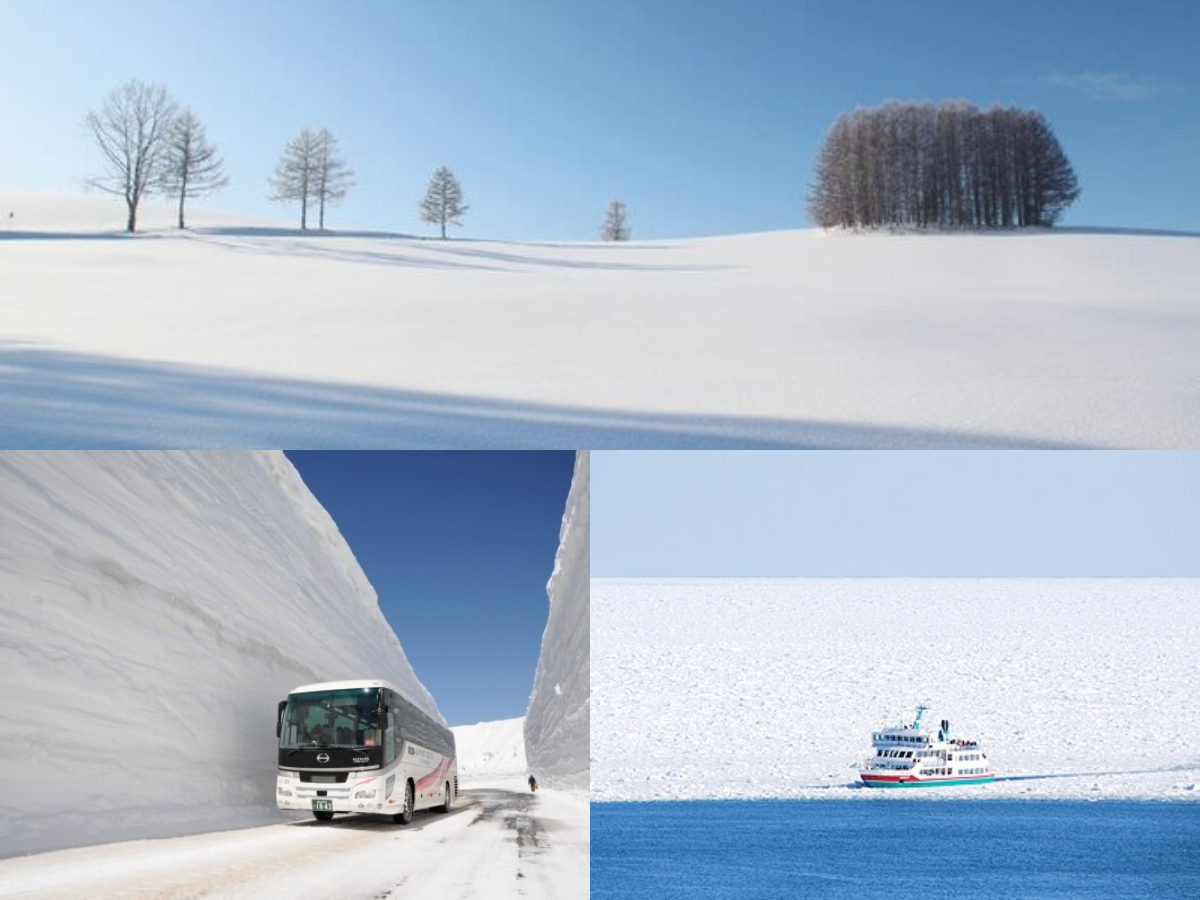 9個絕美賞雪景點！ 日本冬日旅遊「皚皚白雪與日式建築」交織出夢幻場景