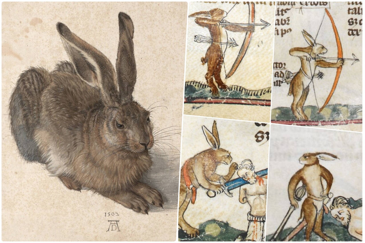 從小可愛到暴力兔：「翻轉世界秩序」的近現代歐洲兔子群像| 文化視角| 轉角國際udn Global