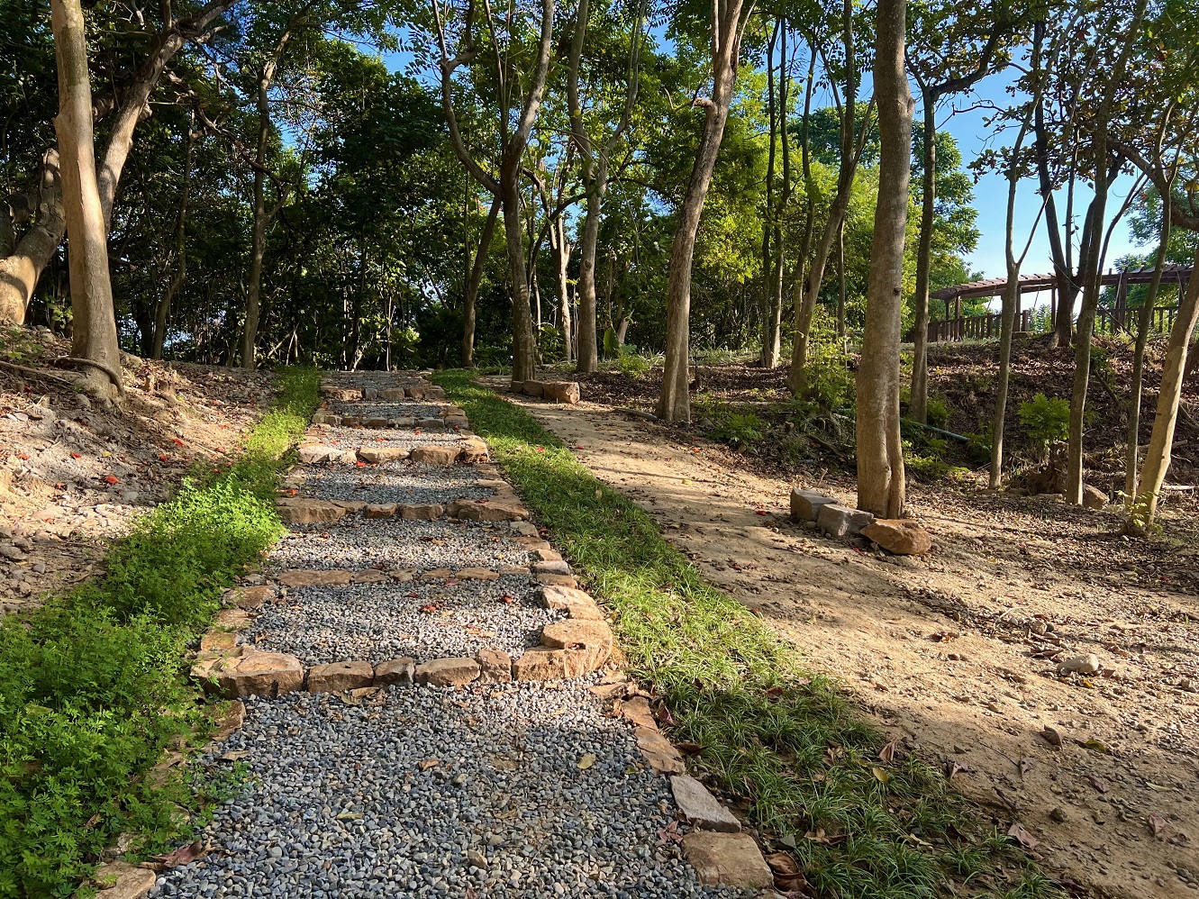 虎头埤风景区林间亲子环教生态步道。图／台南市观旅局提供